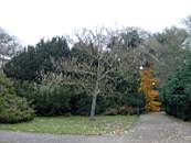 Promenad 2003-11-02 016.jpg